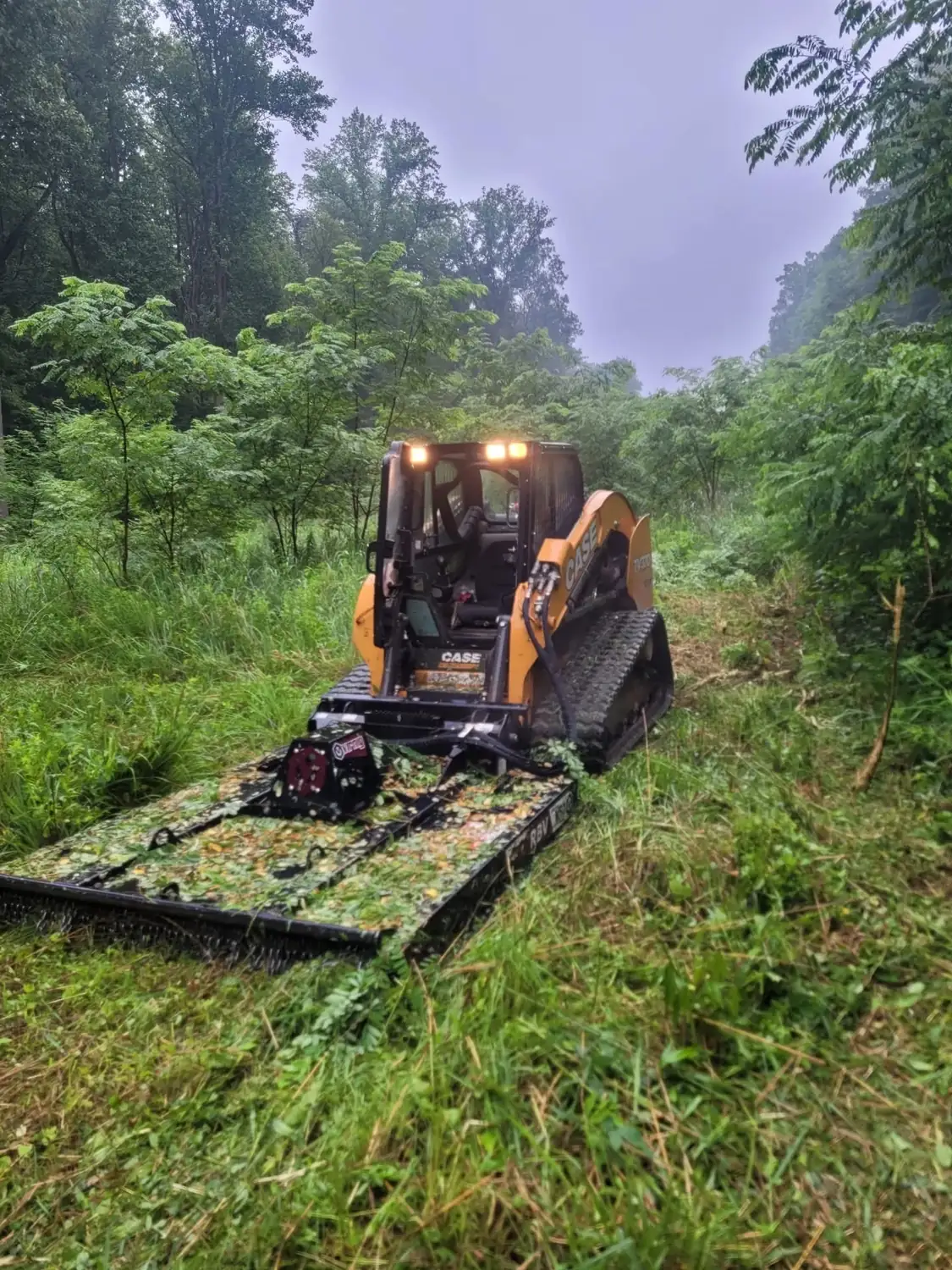 Tracked mulcher clearing an overgrown right-of-way, part of North Country outdoor services