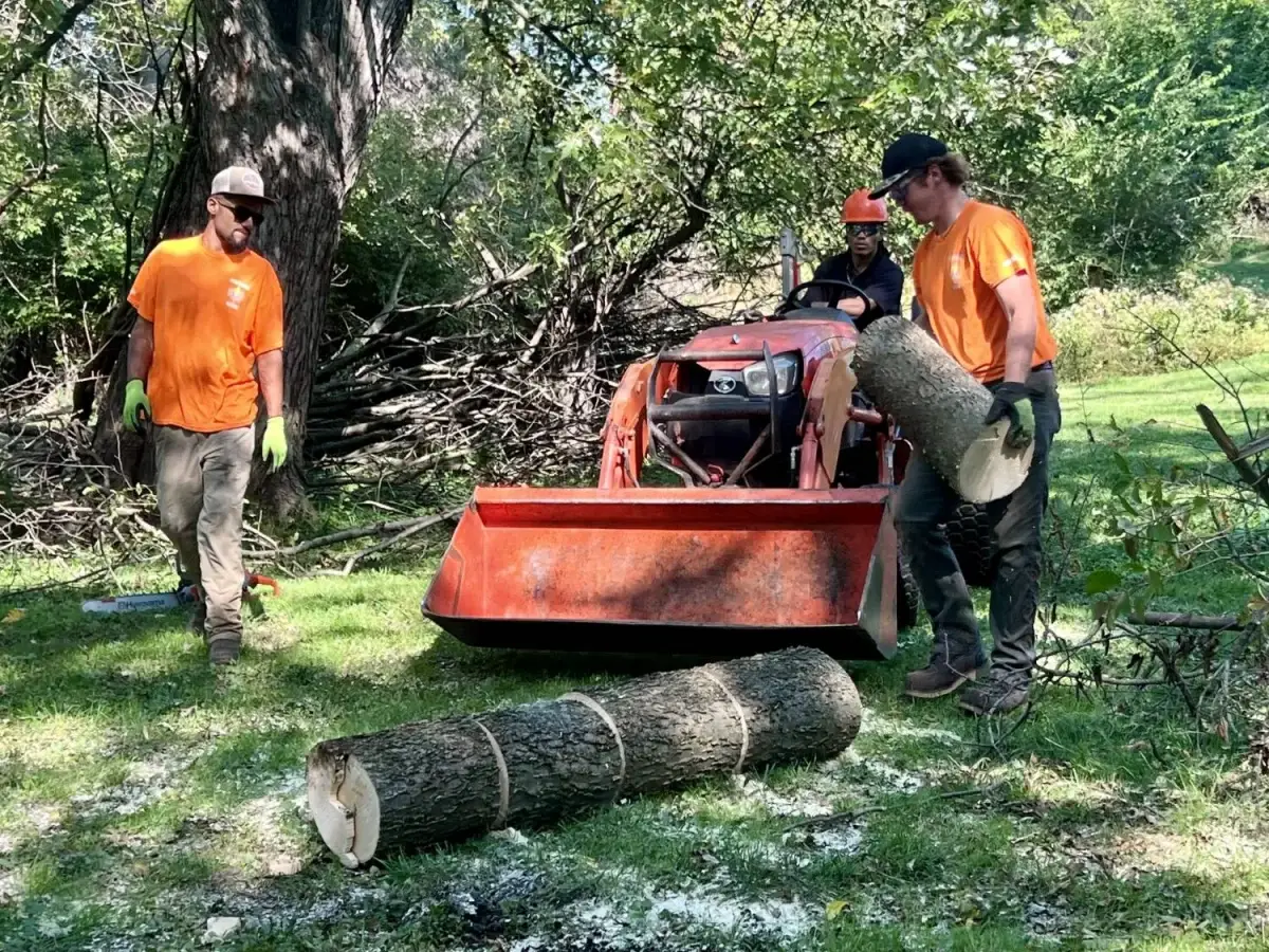 North Country crew in orange shirts moving cut log rounds beside a compact tractor loader